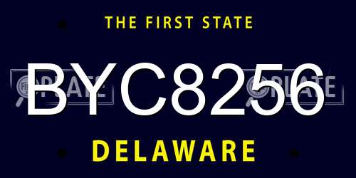 BYC8256 Delaware License Plate