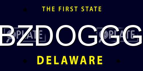 BZDOGGG Delaware License Plate