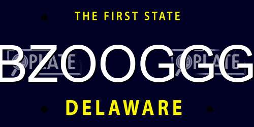 BZOOGGG Delaware License Plate