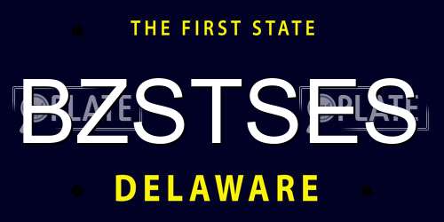 BZSTSES Delaware License Plate