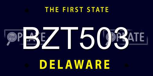 BZT503 Delaware License Plate