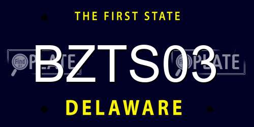 BZTS03 Delaware License Plate