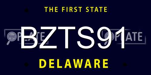 BZTS91 Delaware License Plate