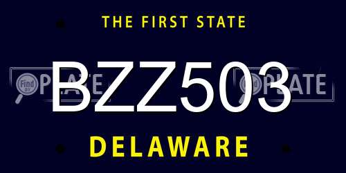 BZZ503 Delaware License Plate