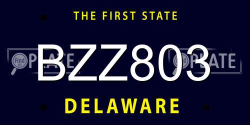 BZZ803 Delaware License Plate