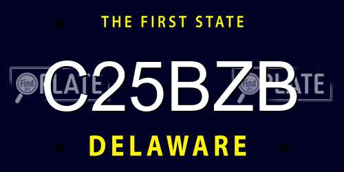 C25BZB Delaware License Plate