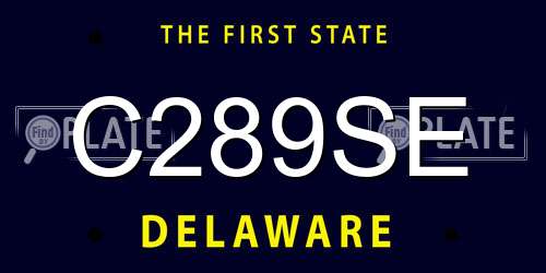 C289SE Delaware License Plate