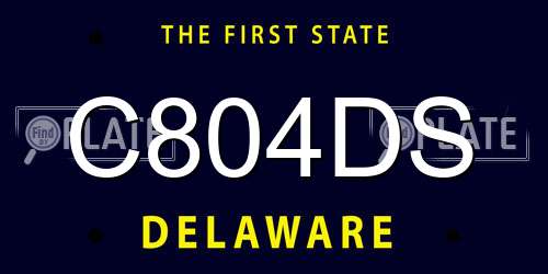 C804DS Delaware License Plate