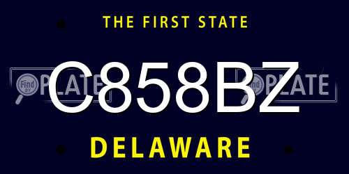 C858BZ Delaware License Plate