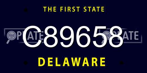 C89658 Delaware License Plate