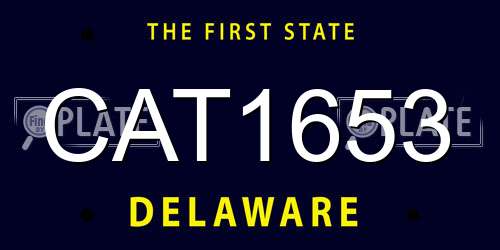 CAT1653 Delaware License Plate