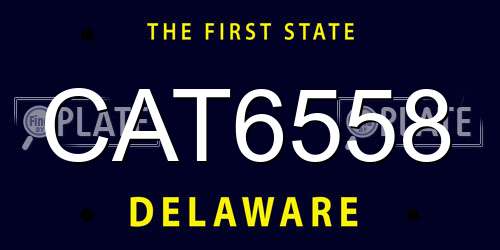 CAT6558 Delaware License Plate
