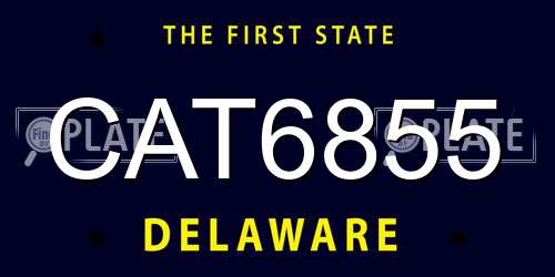 CAT6855 Delaware License Plate
