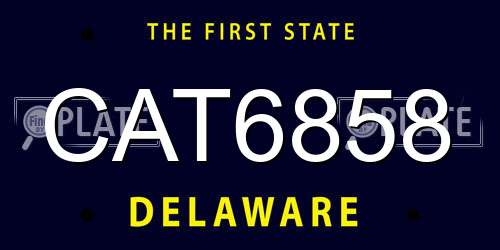 CAT6858 Delaware License Plate