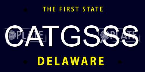 CATGSSS Delaware License Plate