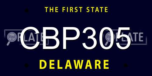 CBP305 Delaware License Plate
