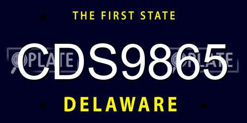 CDS9865 Delaware License Plate