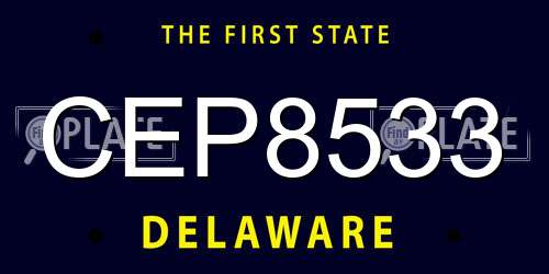 CEP8533 Delaware License Plate