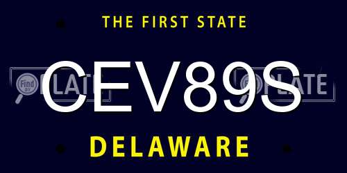 CEV89S Delaware License Plate