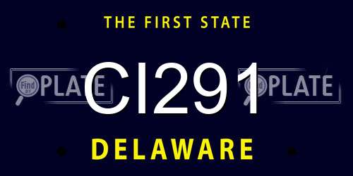 CI291 Delaware License Plate