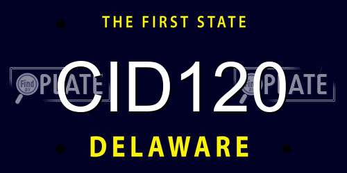 CID120 Delaware License Plate