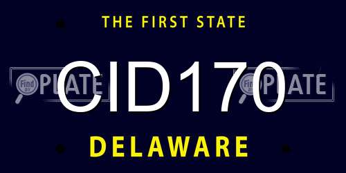 CID170 Delaware License Plate