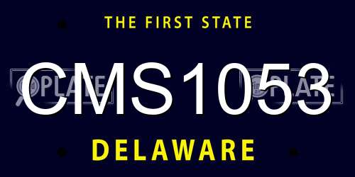 CMS1053 Delaware License Plate