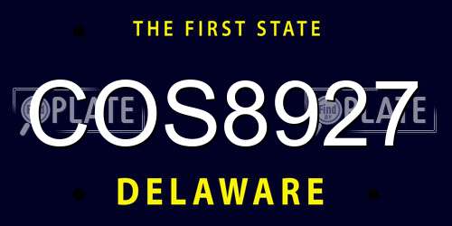 COS8927 Delaware License Plate