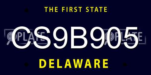 CS9B905 Delaware License Plate