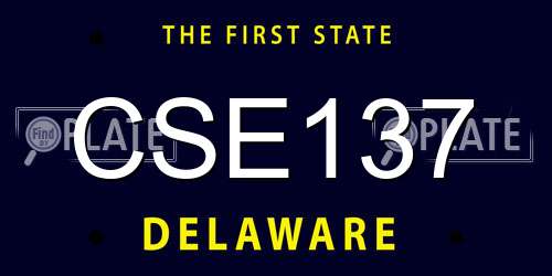 CSE137 Delaware License Plate