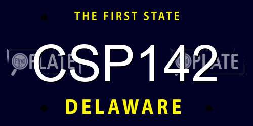 CSP142 Delaware License Plate