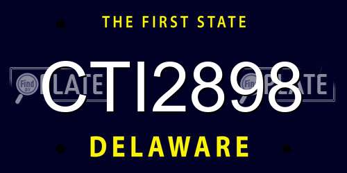 CTI2898 Delaware License Plate