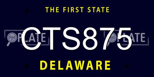 CTS875 Delaware License Plate