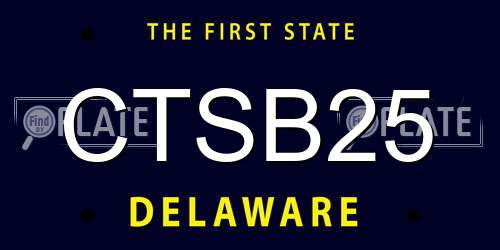 CTSB25 Delaware License Plate