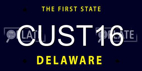 CUST16 Delaware License Plate