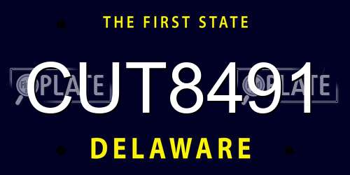 CUT8491 Delaware License Plate