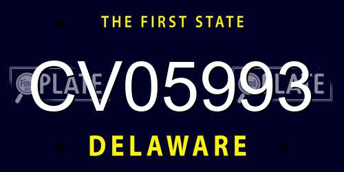 CV05993 Delaware License Plate