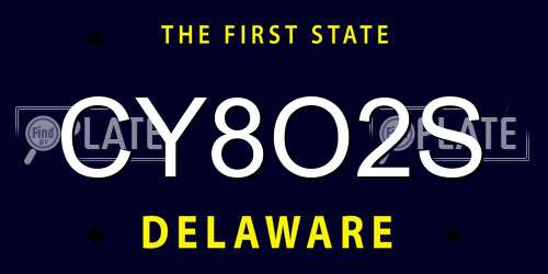 CY8O2S Delaware License Plate