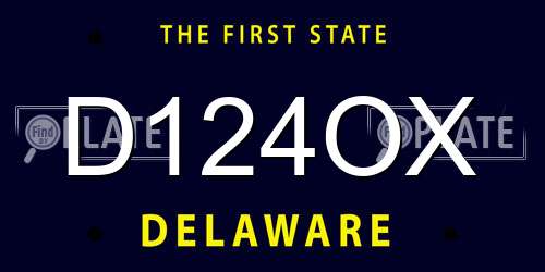 D124OX Delaware License Plate