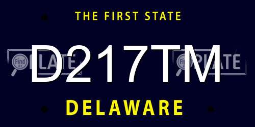 D217TM Delaware License Plate
