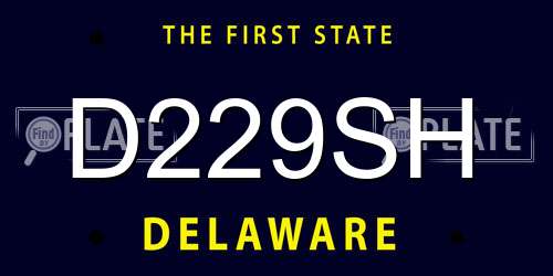 D229SH Delaware License Plate
