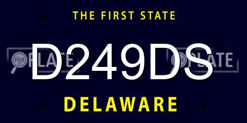 D249DS Delaware License Plate