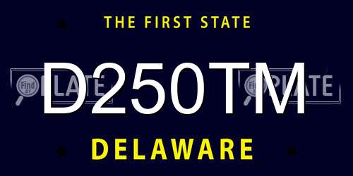 D250TM Delaware License Plate