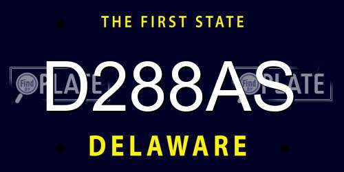 D288AS Delaware License Plate