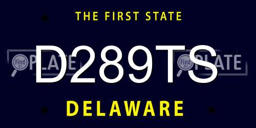 D289TS Delaware License Plate