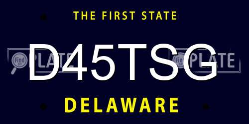 D45TSG Delaware License Plate
