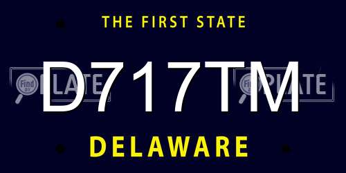D717TM Delaware License Plate