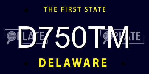 D750TM Delaware License Plate