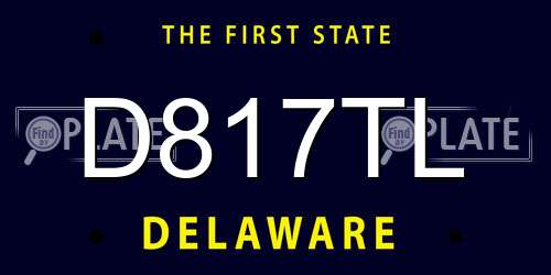 D817TL Delaware License Plate