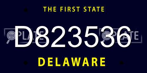 D823536 Delaware License Plate